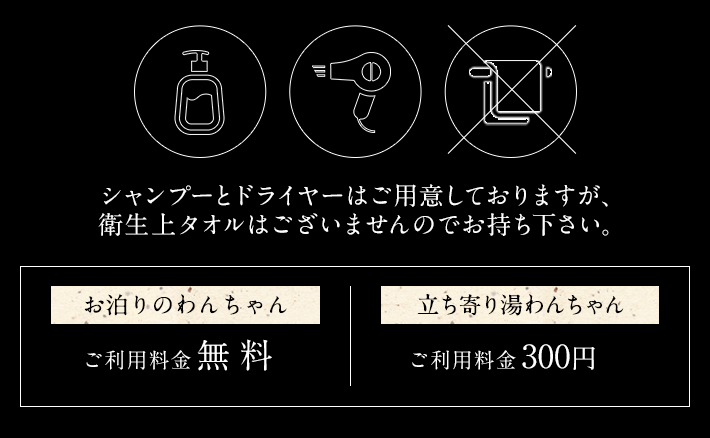 シャンプーとドライヤーはご用意しておりますが、 衛生上タオルはございませんのでお持ち下さい。